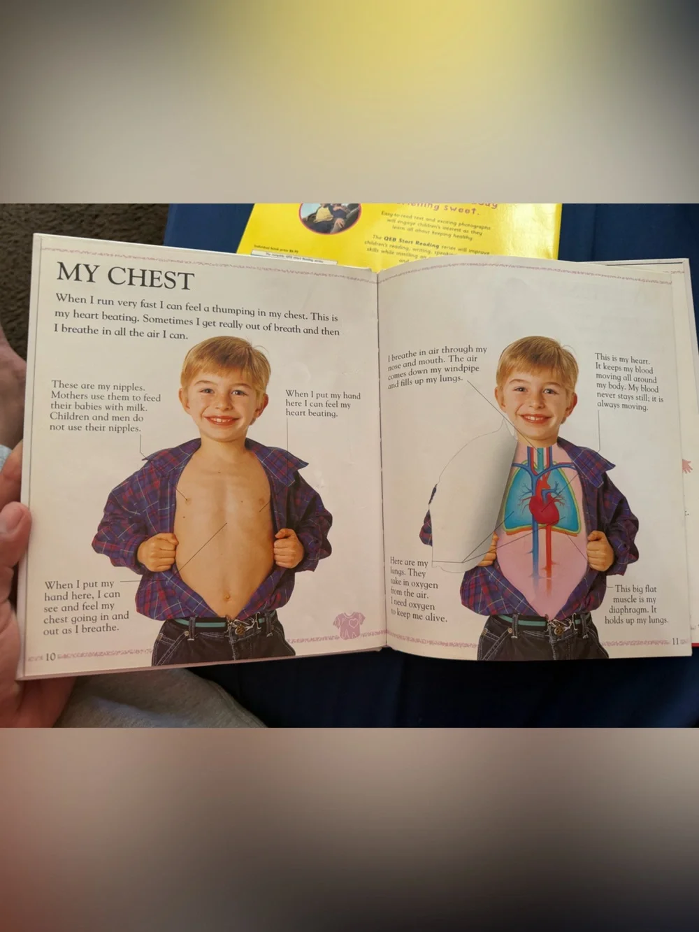 Kids Human Body & Healthy Habits Educational Book Bundle